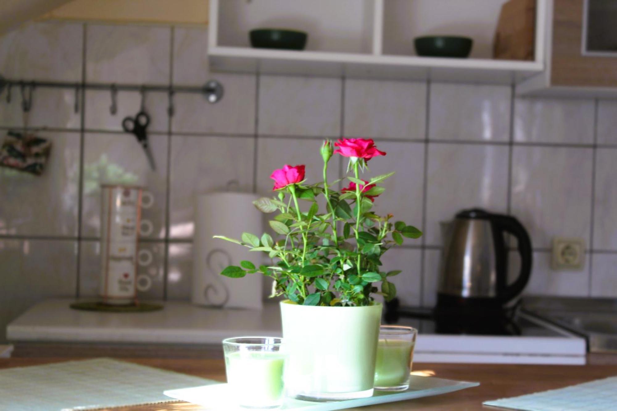 Svila Apartmani Bihać Zewnętrze zdjęcie